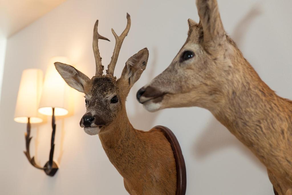 Boutique-Hotel Garni Bellevue Davos Wiesen Luaran gambar